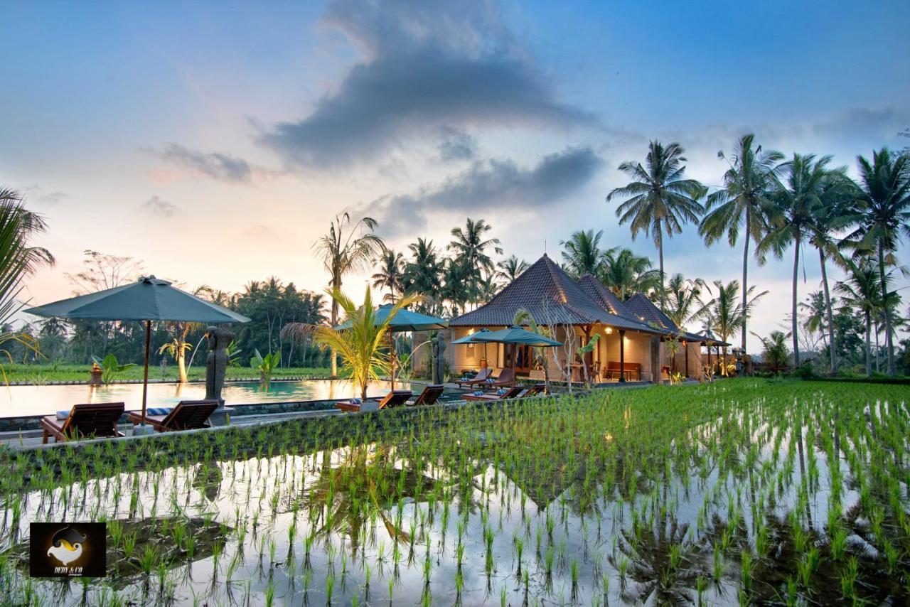 Intan Villa & Suite Ubud المظهر الخارجي الصورة