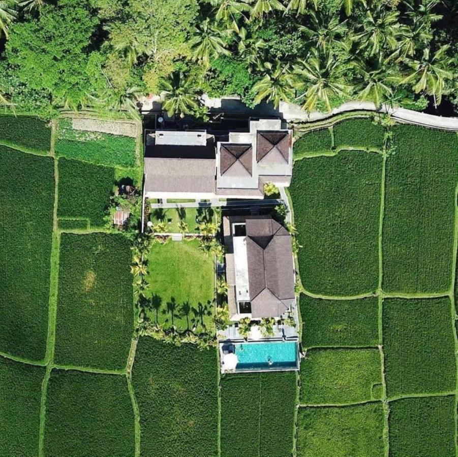 Intan Villa & Suite Ubud المظهر الخارجي الصورة
